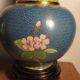 Paire de vase chinois cloisonnés