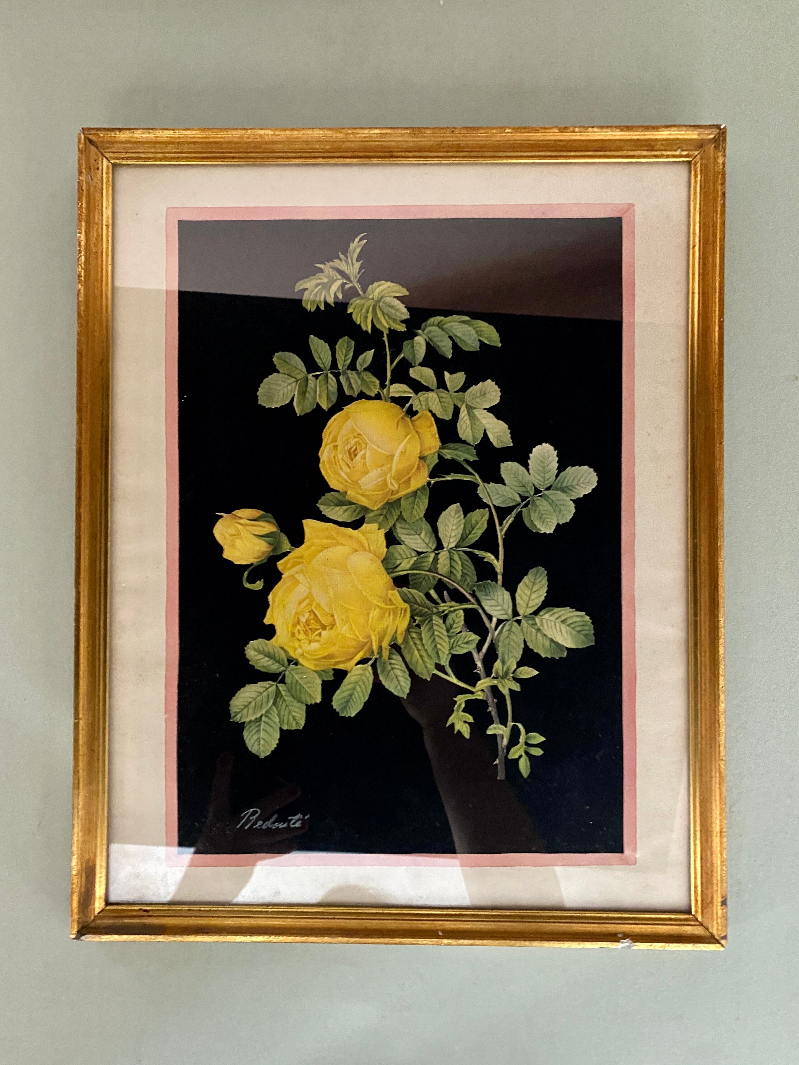 Framed poster vintage pinks yellow feared