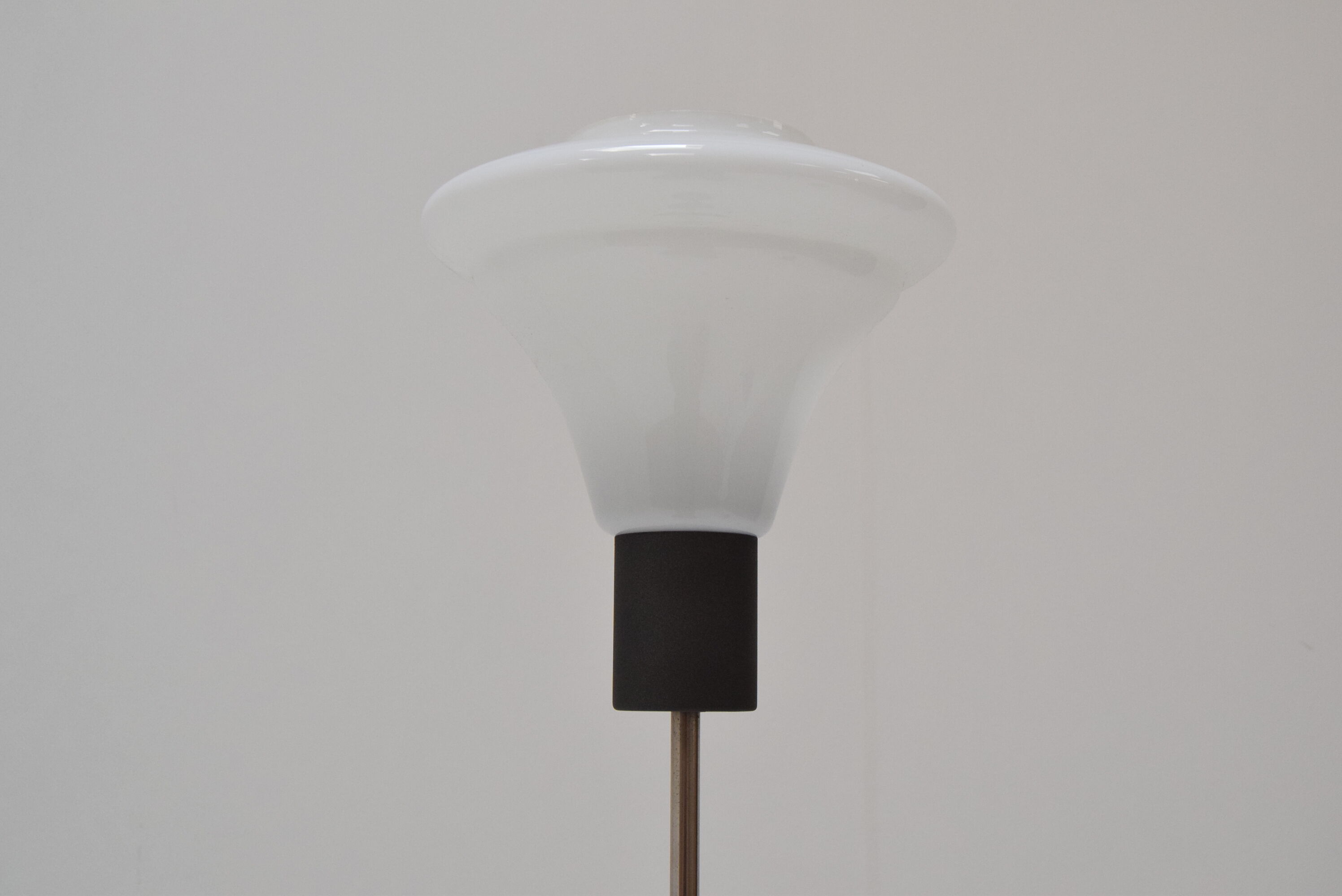 Mid-century floor lamp by Kamenicky Senov,1960