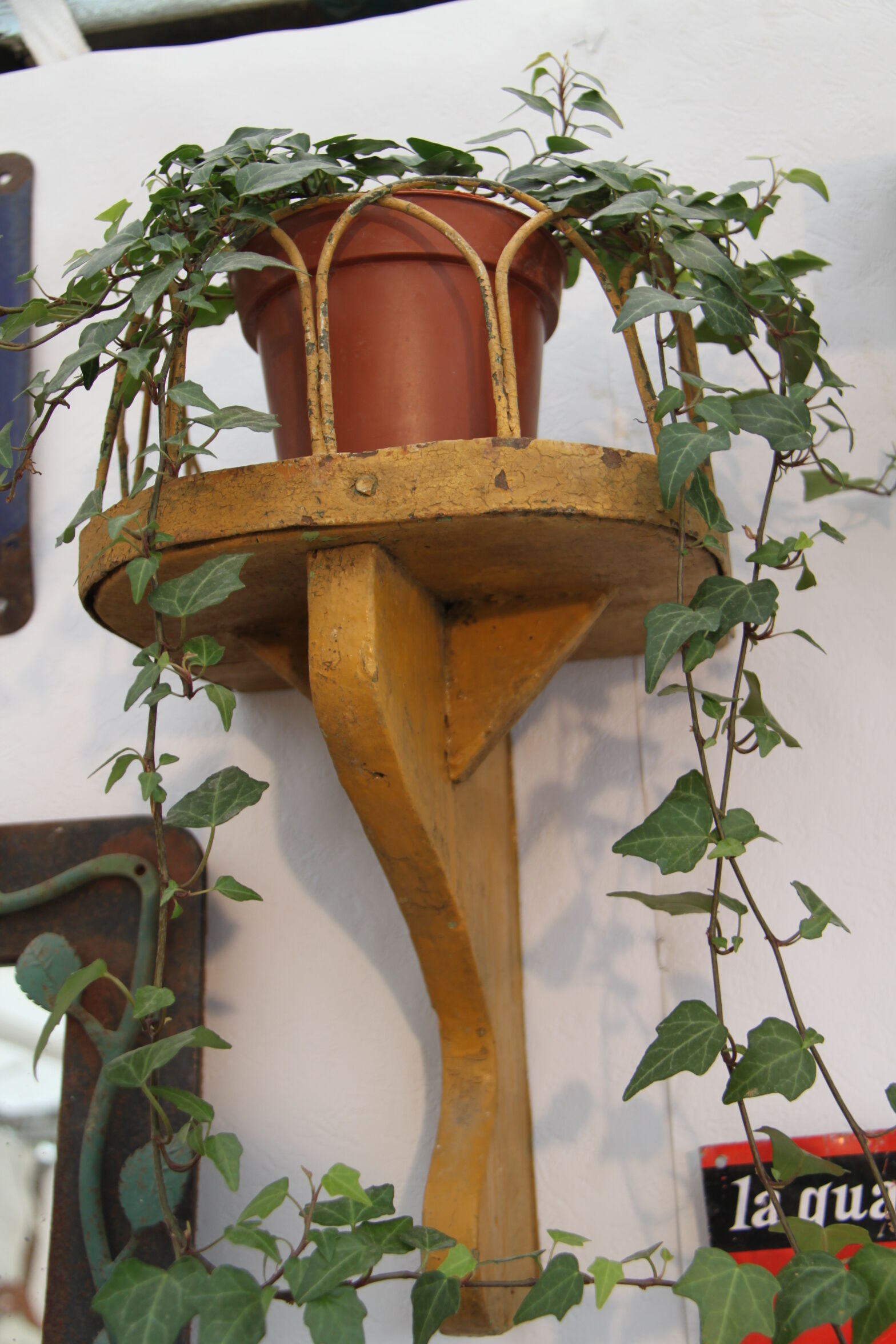 Plant yellow wooden door