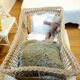 Rattan and wrought iron cradle