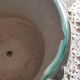 Cache pot in dabbling
