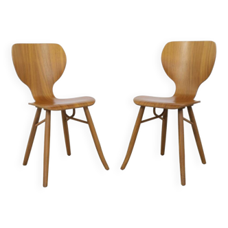 2x Chair “Tulipani” in Walnut by Roderick Vos for Linteloo