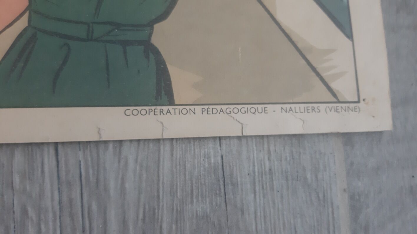 Educational school poster