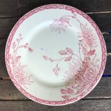 Assiettes à dessert « Turenne » de Creil et Montereau