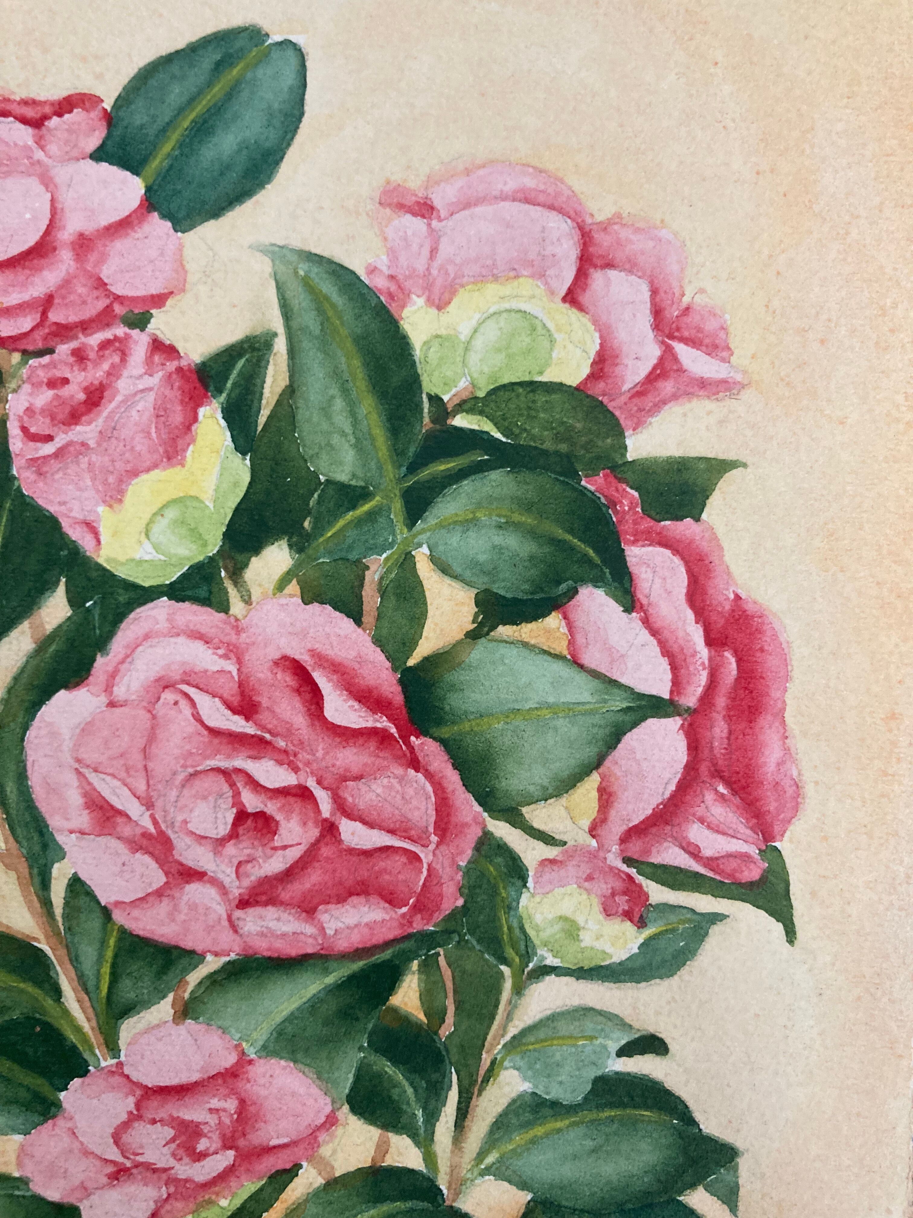 Aquarelle camélias vintage