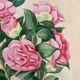 Aquarelle camélias vintage