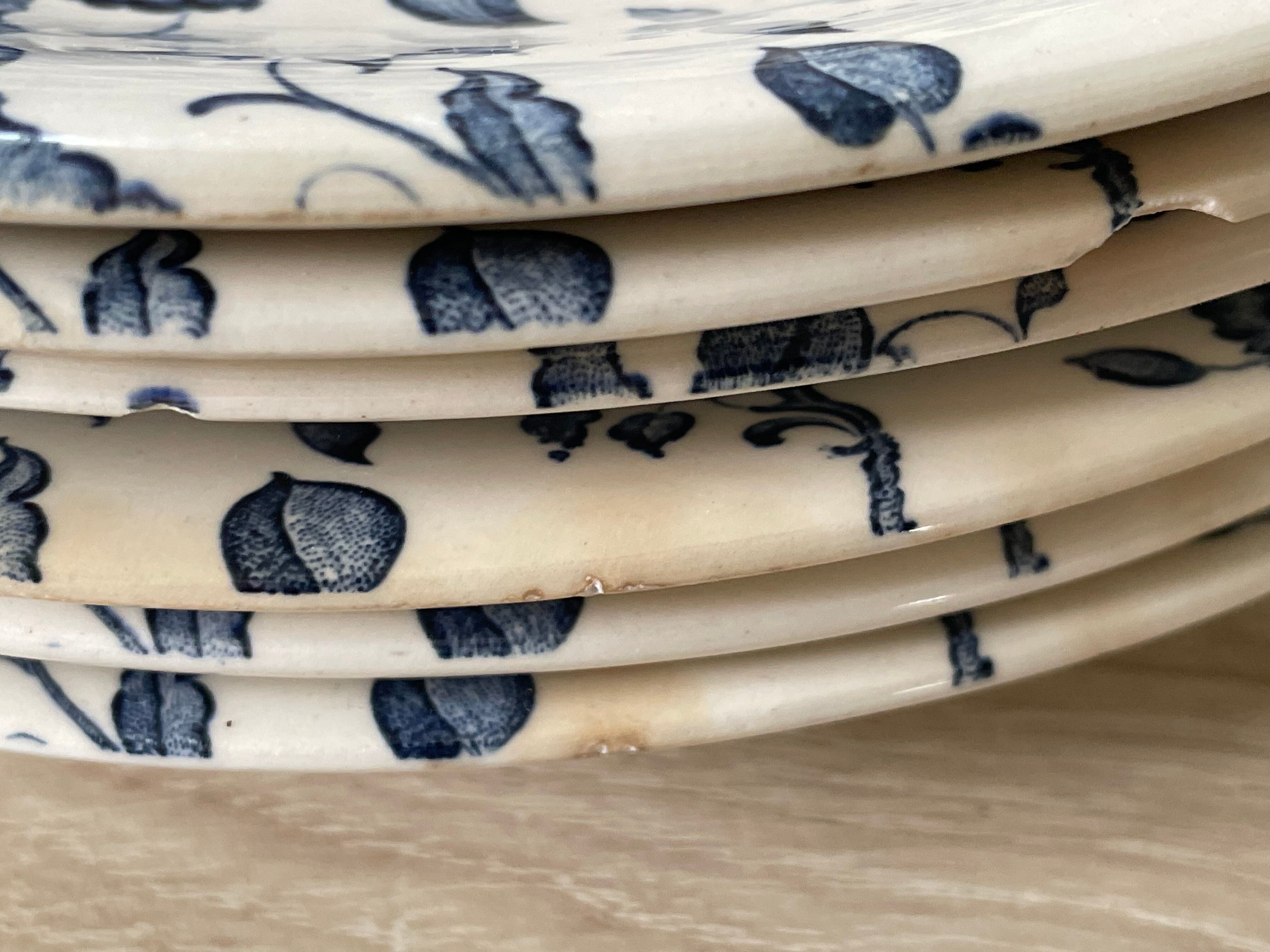 Set of 6 plates Villeroy & Boch Paradiso