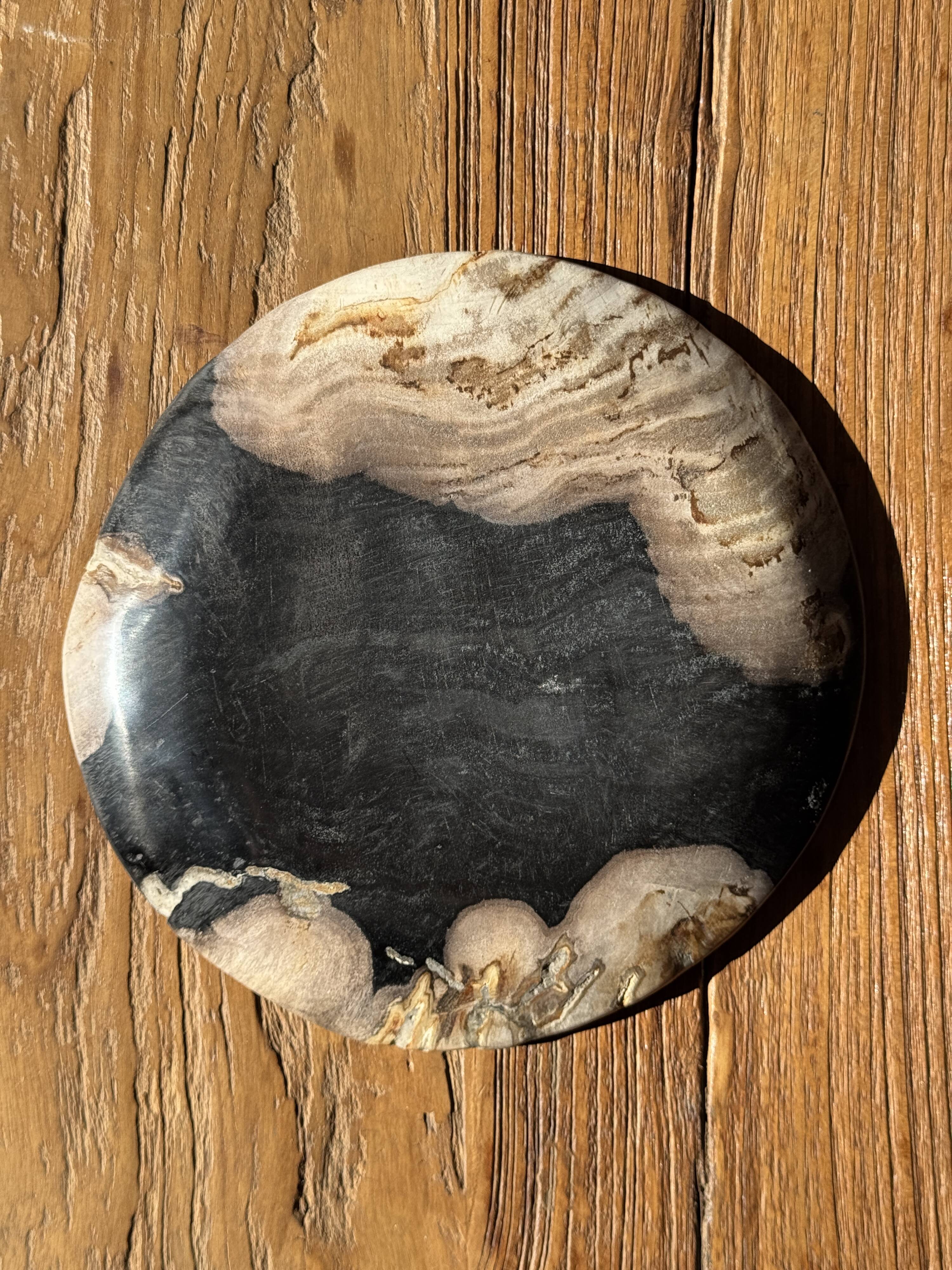 Small pocket tray or dish in black and beige petrified wood D20.5 -3317