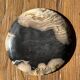 Small pocket tray or dish in black and beige petrified wood D20.5 -3317