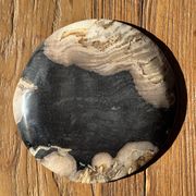 Small pocket tray or dish in black and beige petrified wood D20.5 -3317