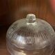 Cheese cover cake dish glass molded with relief flower decor