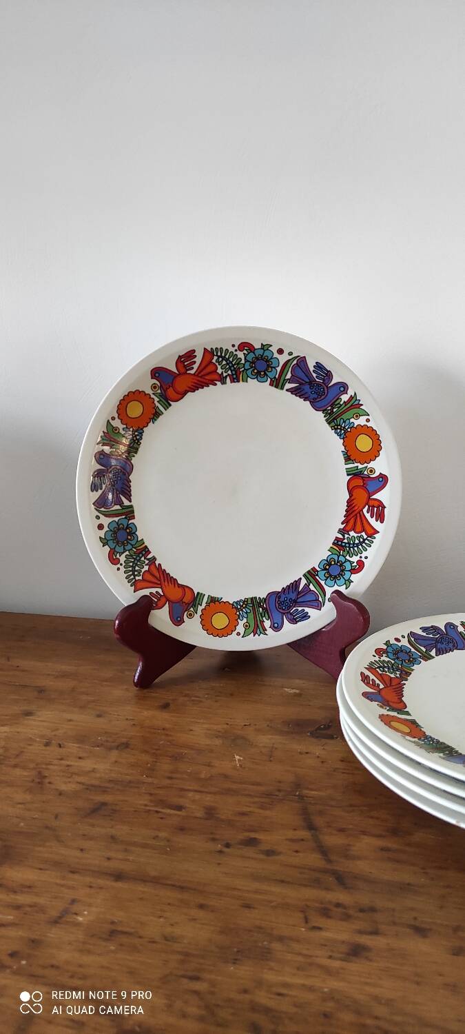 Villeroy and Boch Acapulco Plate Set