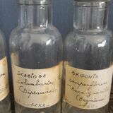 Old seed jars
