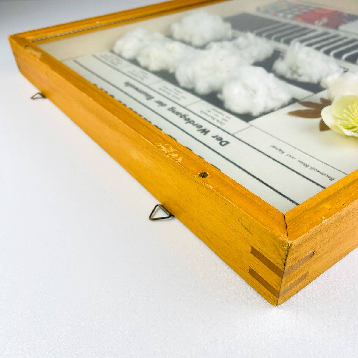 Vintage educational school display Cotton by Josef Galler, Germany, 1960s.