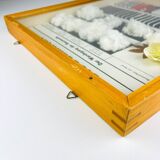 Vintage educational school display Cotton by Josef Galler, Germany, 1960s.