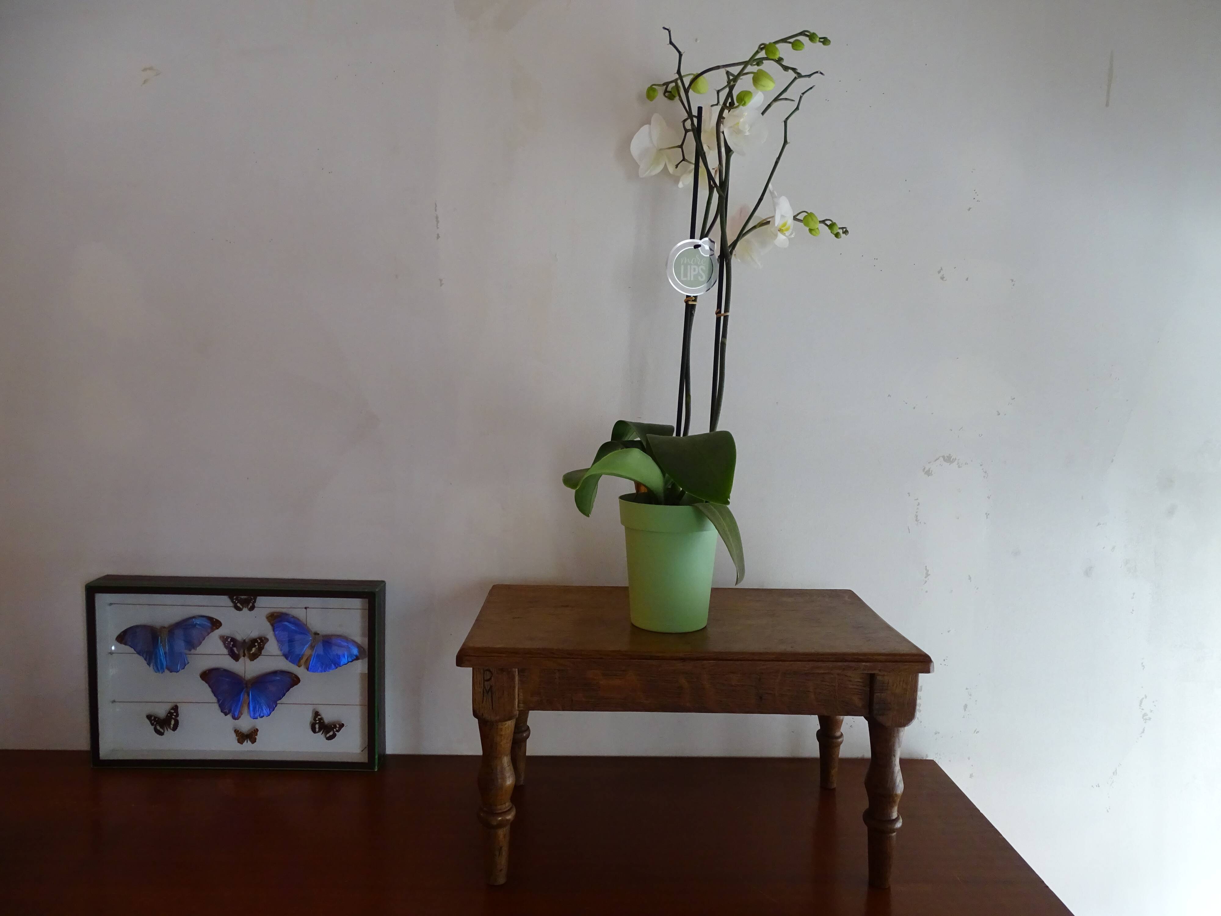 Old brutalist wood stool