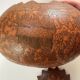 Ancient carved gourd
