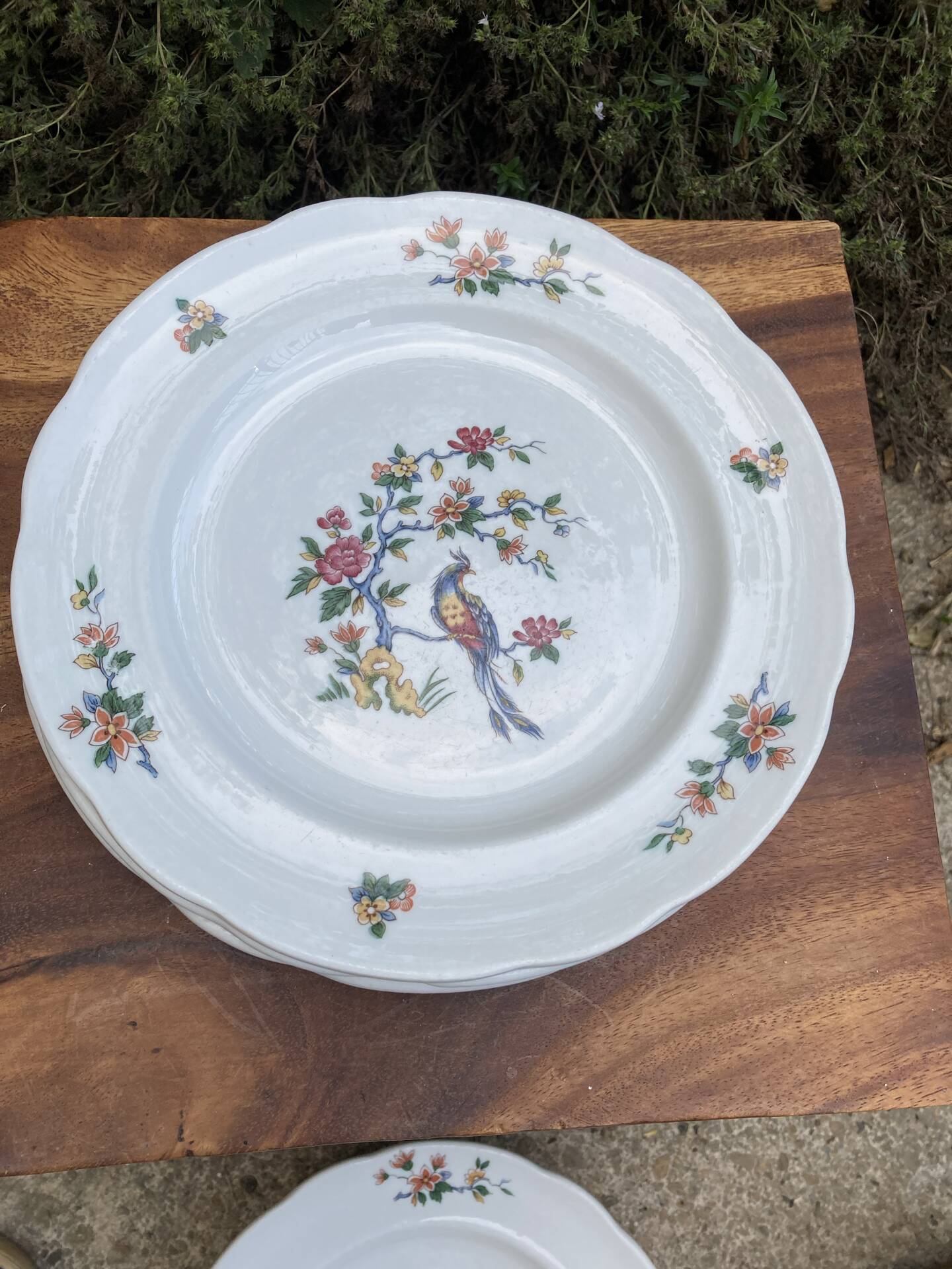 Sarreguemines plates paradise birds / Phoenix