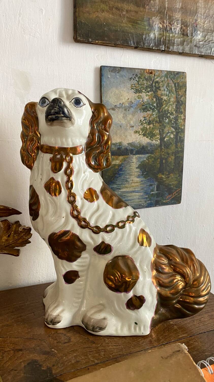 Chien Straffordshire , cavalier King, Charles