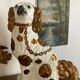 Chien Straffordshire , cavalier King, Charles