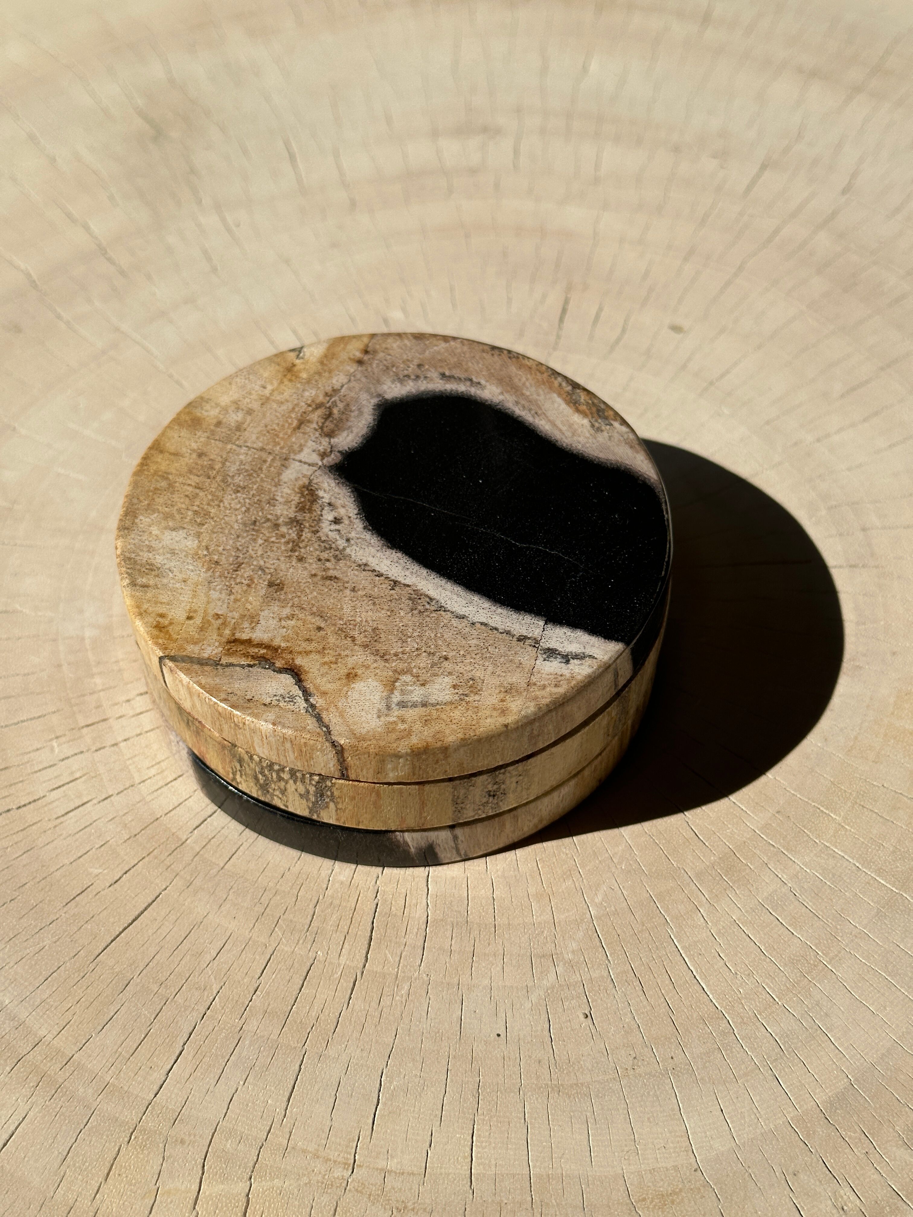 Set of 3 fossilized wooden coasters (clear)