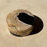 Set of 3 fossilized wooden coasters (clear)