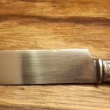 Set of 10 horn handle knives
