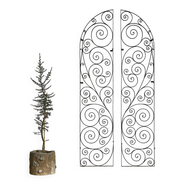 Porte arquée en fer forgé