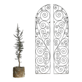 Arched wrought iron gate