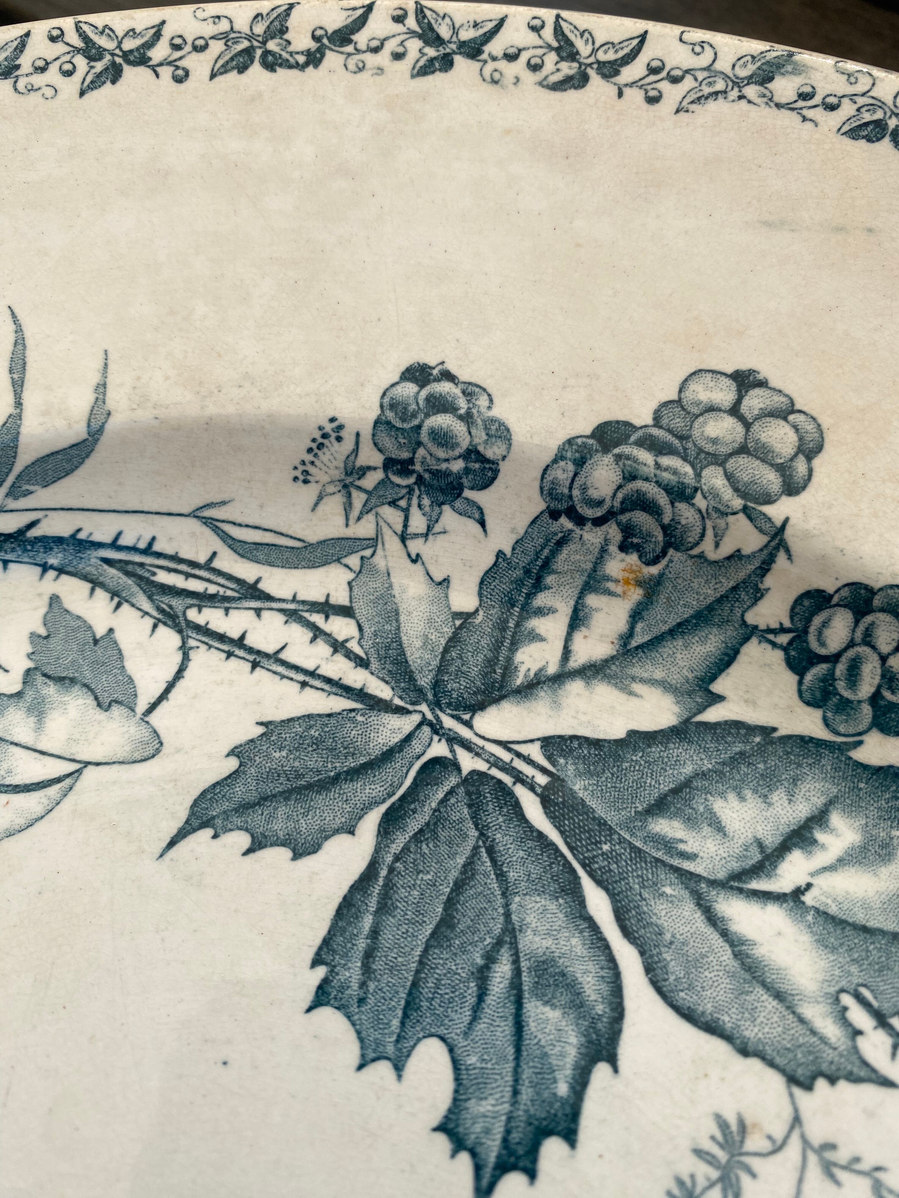 Iron earth dish Badonviller blackberry model