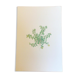 Botanical plate