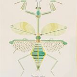 Trumeau old gilded mirror