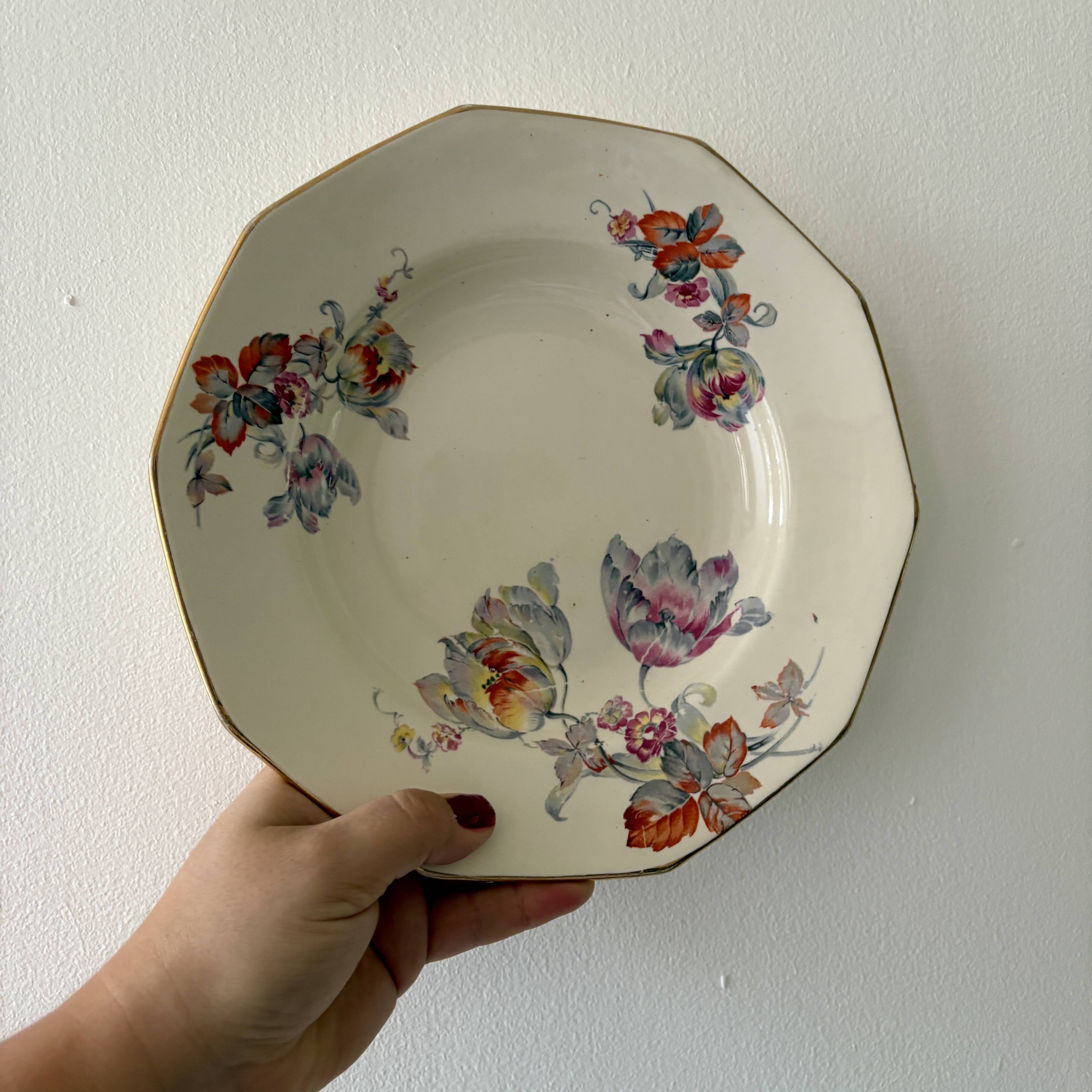 Set of 10 old hollow plates - Saint Amand in iron earth