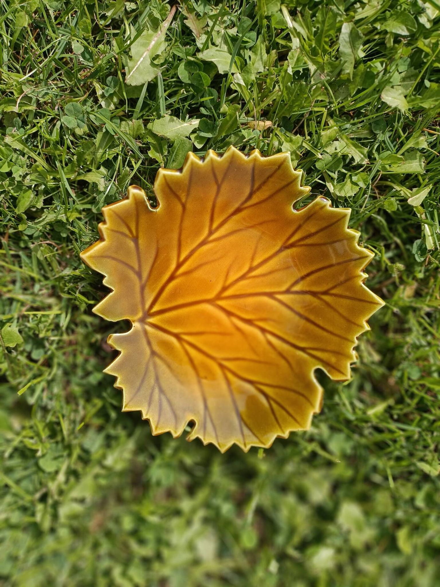Vide poche Feuille Automne