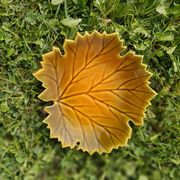 Vide poche Feuille Automne