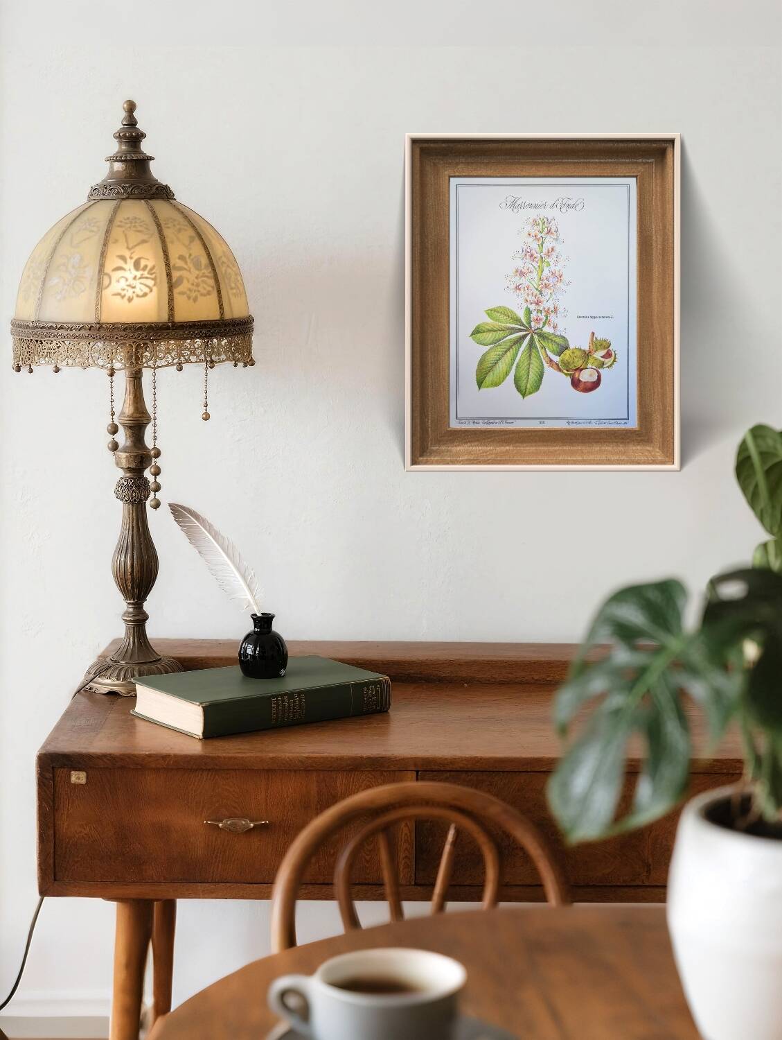 Printed in 1986, the Horse Chestnut. Vintage Botany.