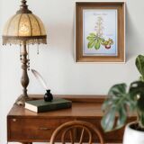 Printed in 1986, the Horse Chestnut. Vintage Botany.