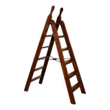 19th century library ladder