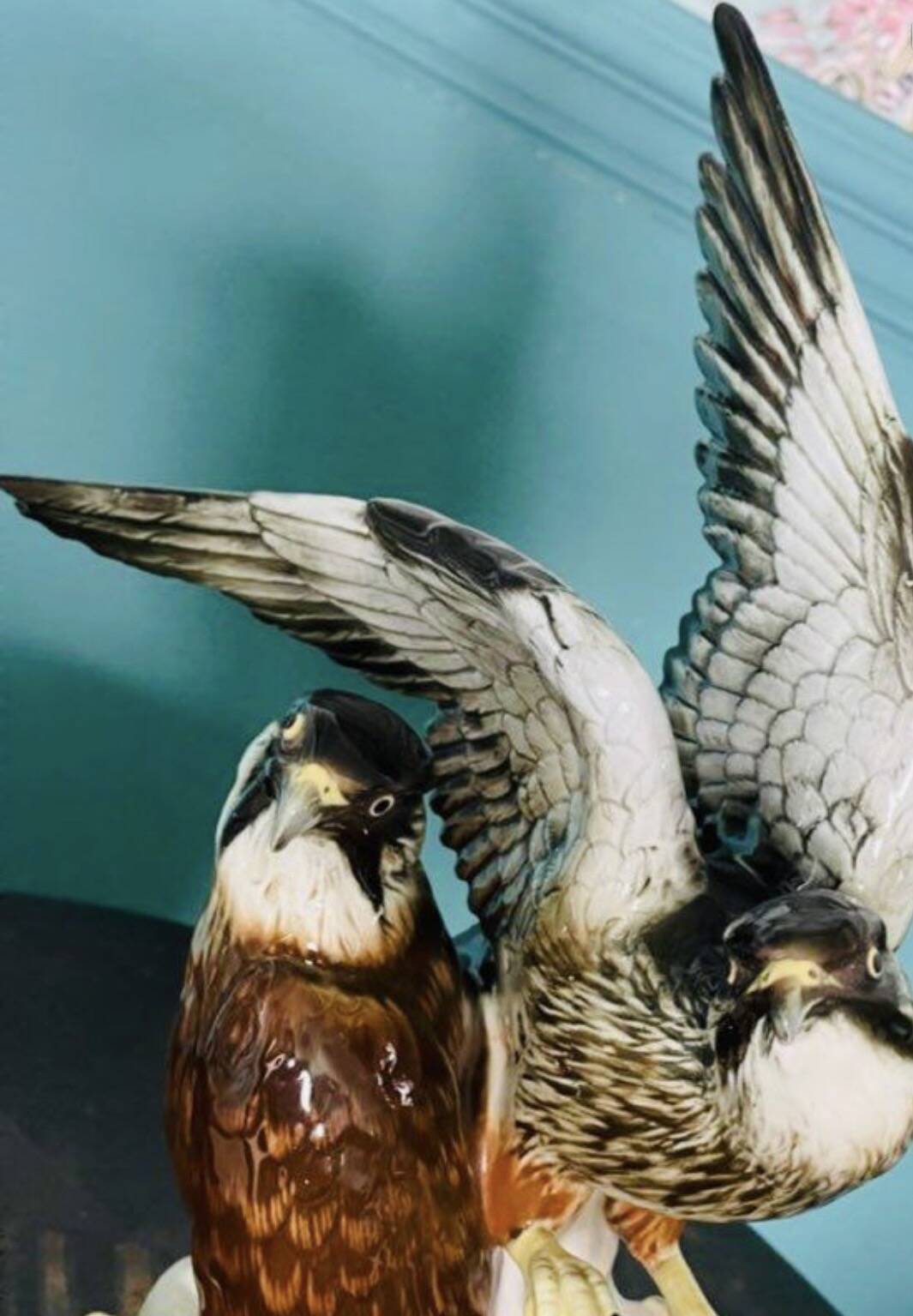Birds couple of falcons Karl Ens