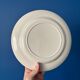 Set of 8 vintage flat plates in earthenware with blue flowers – Tableware