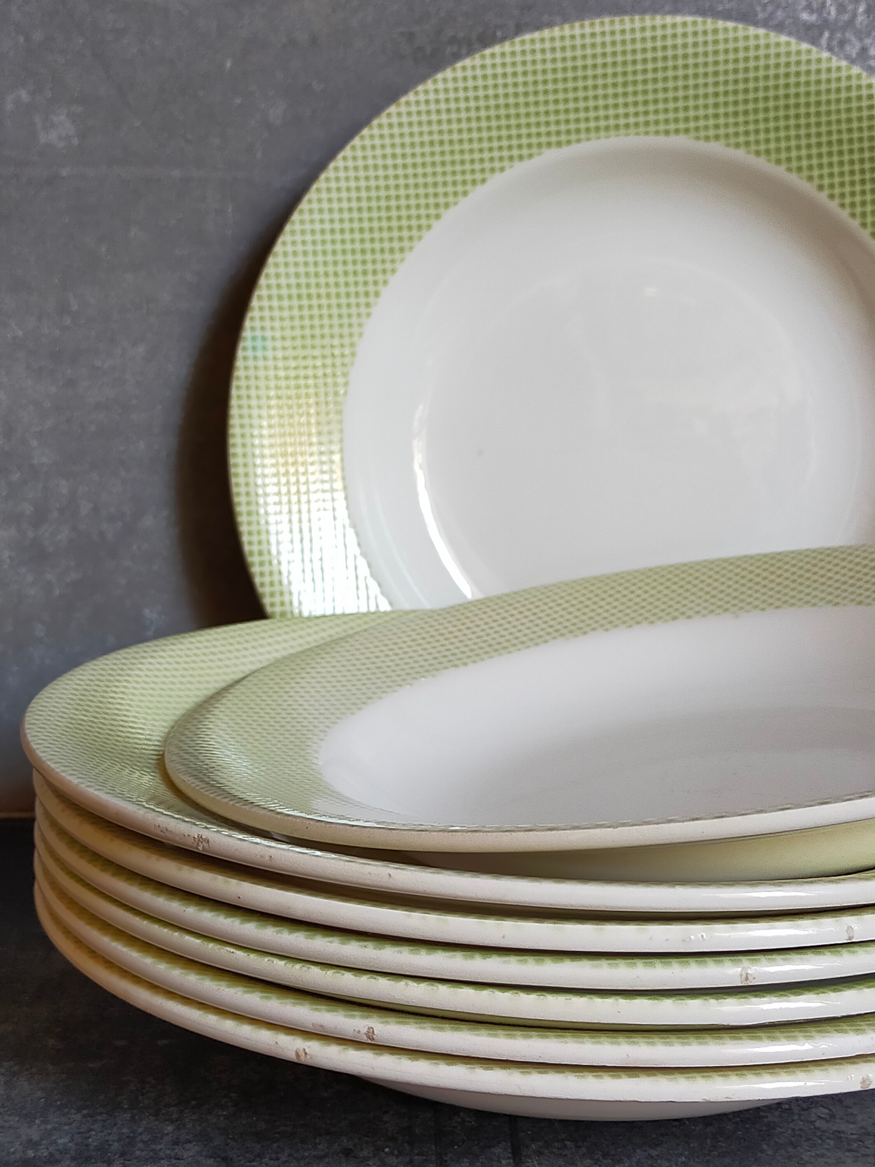 Eight earthenware plates from salins 50s