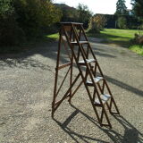Old library stepladder