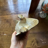 Penguin wood sculpture