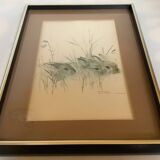 Large frame with rabbits in nature