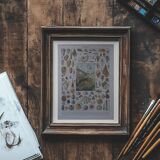 Lithographie originale sur les mollusques