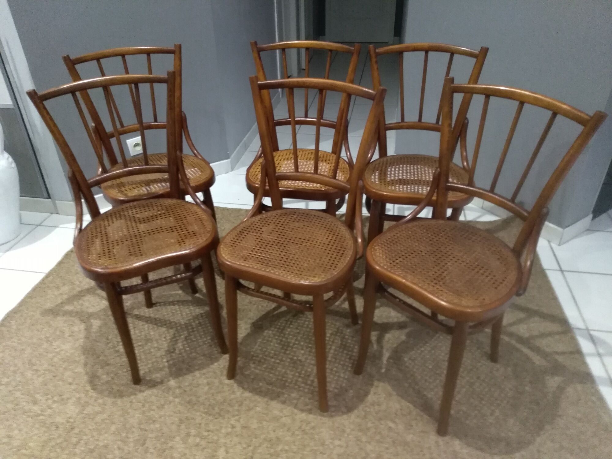 Suite of 6 chairs by Bistrot Austro-Hungarian Fium 1890