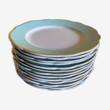Set of green plates of water