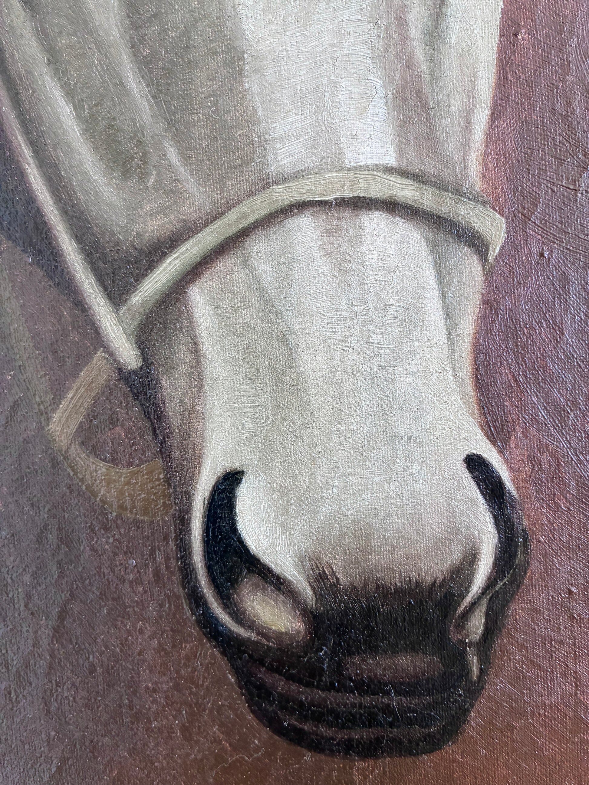 Peinture à l'huile vintage originale de cheval blanc, portrait équestre signé.