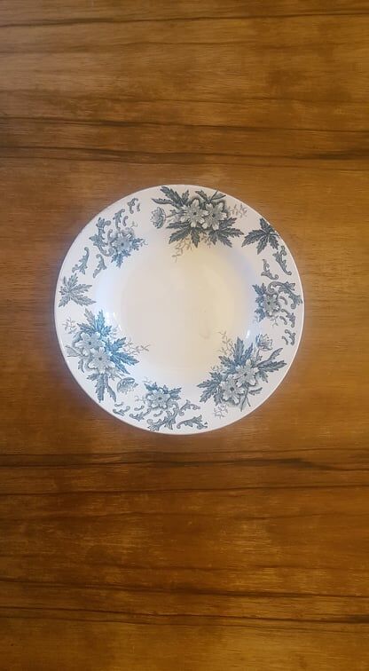 Plate in Iron Earth Saint Amandinoise model Anémone